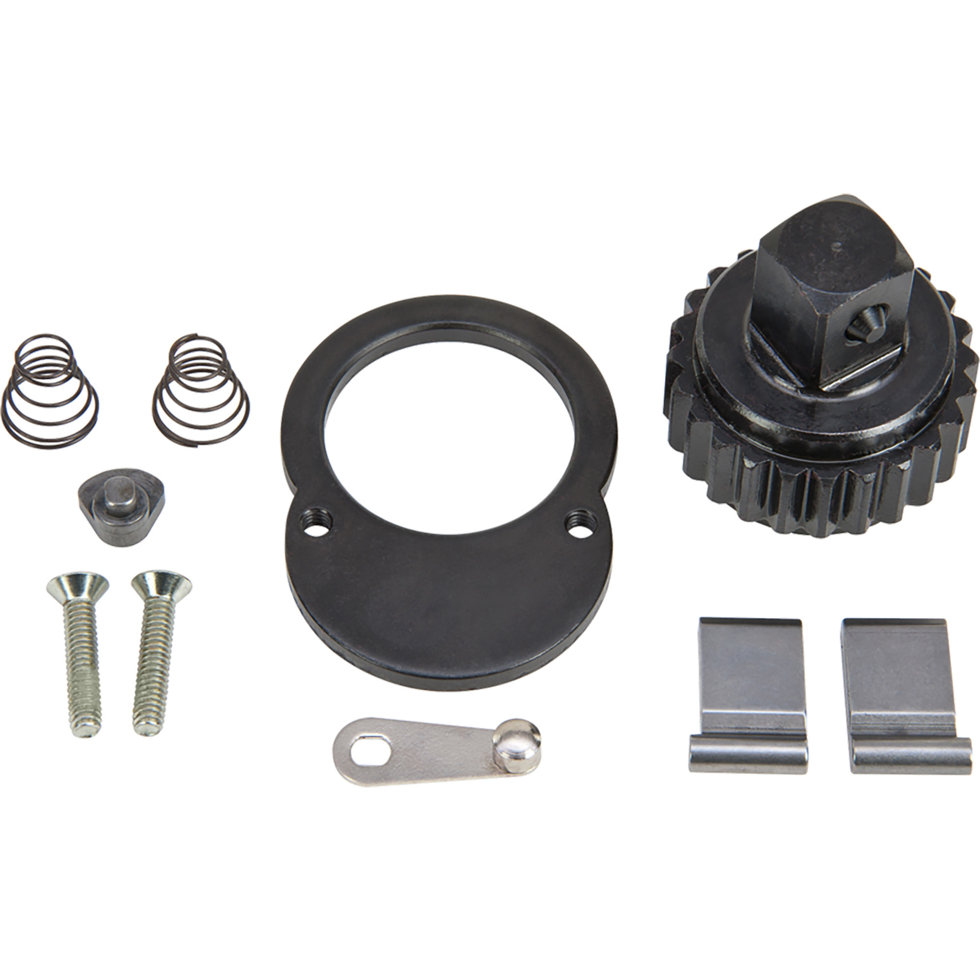 Proto 3/4in. Drive, 10-Pc. Repair Kit, For Proto J5649 & J5649BL Ratchets, Model# J5649RK